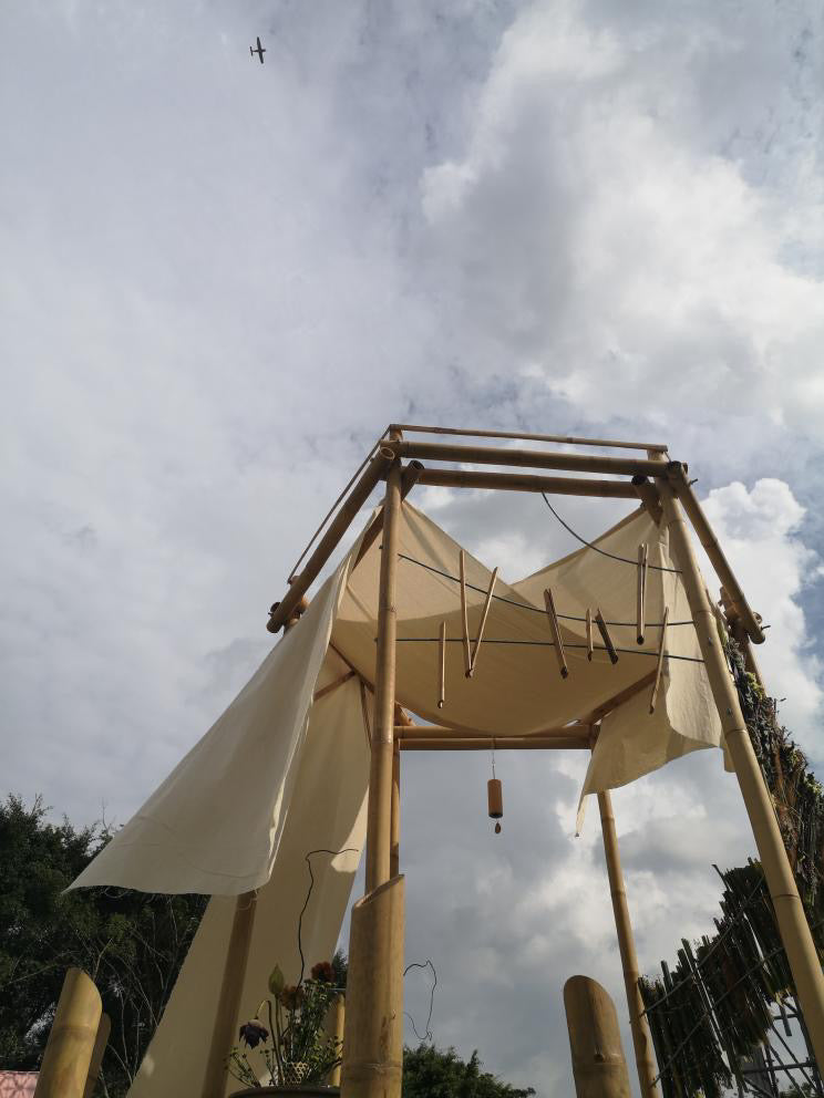 Walking Each Other Home