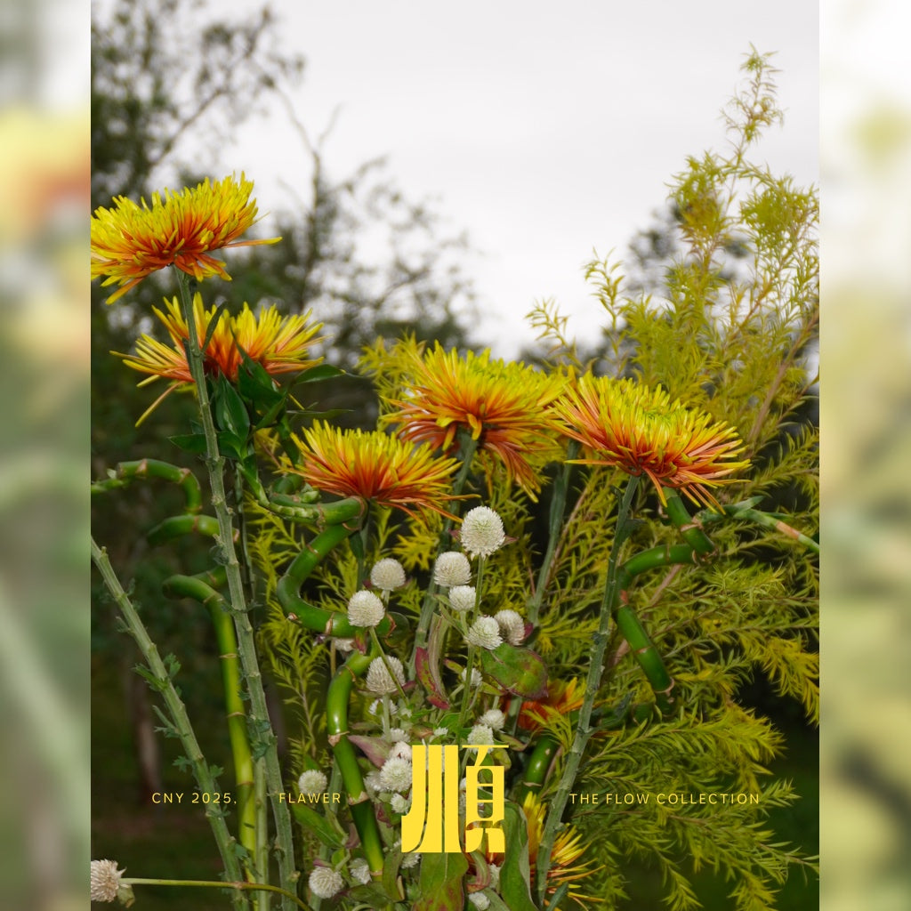 清风 (Qīng Fēng) – Gentle Breeze