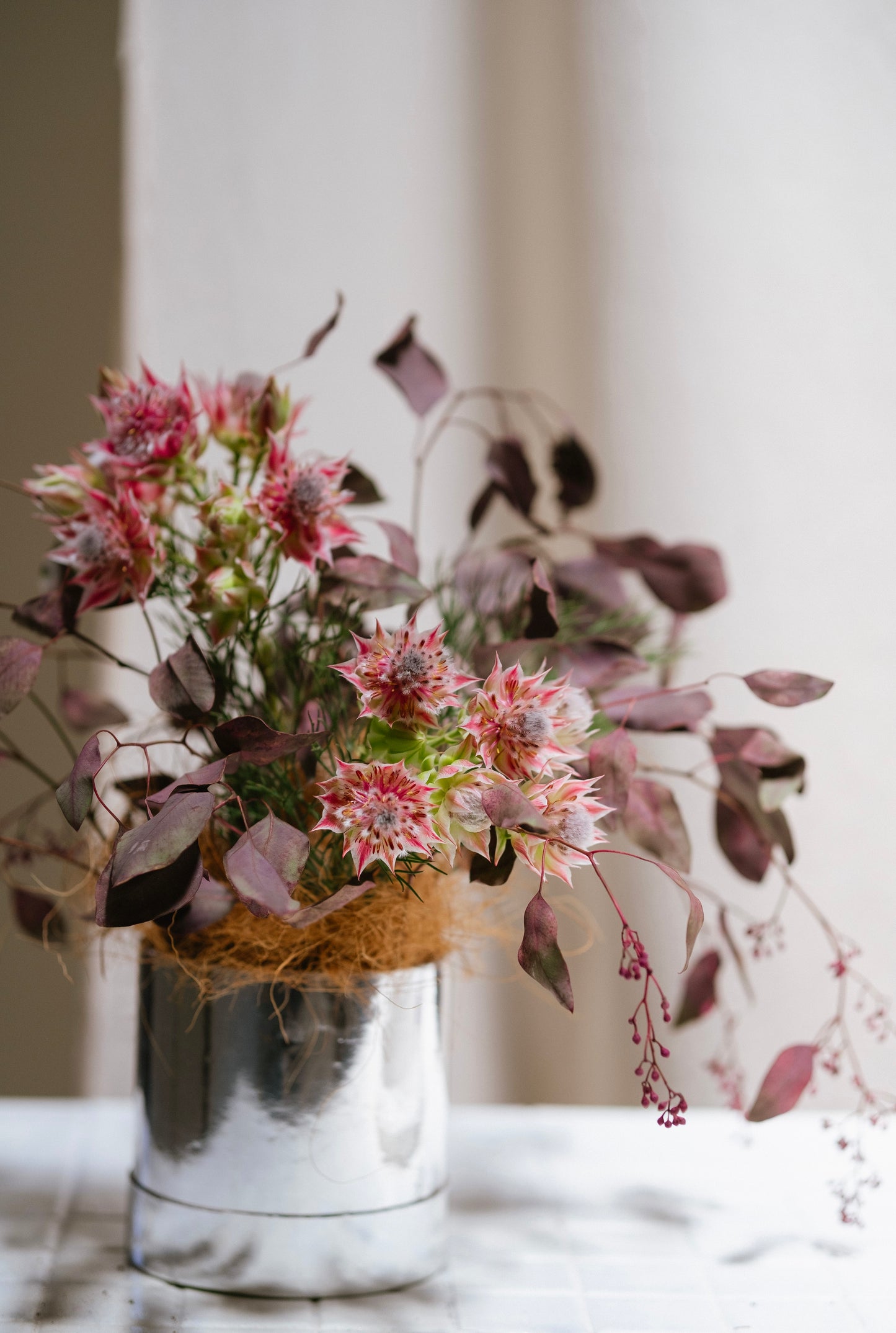 H2H - Solitary Bloom 和諧