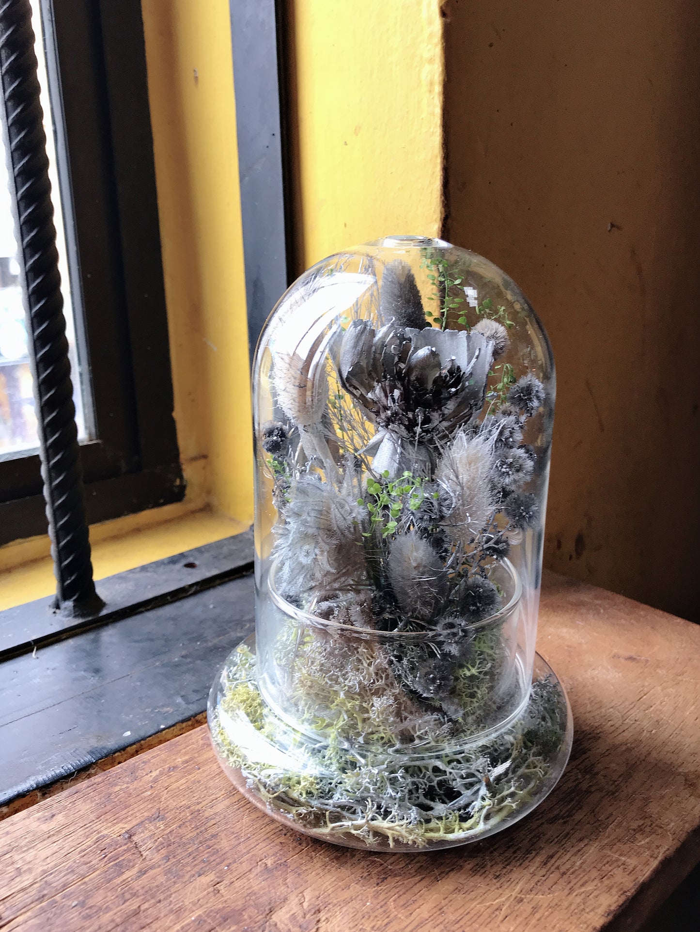 Chrome Silver Bell Jar (M)