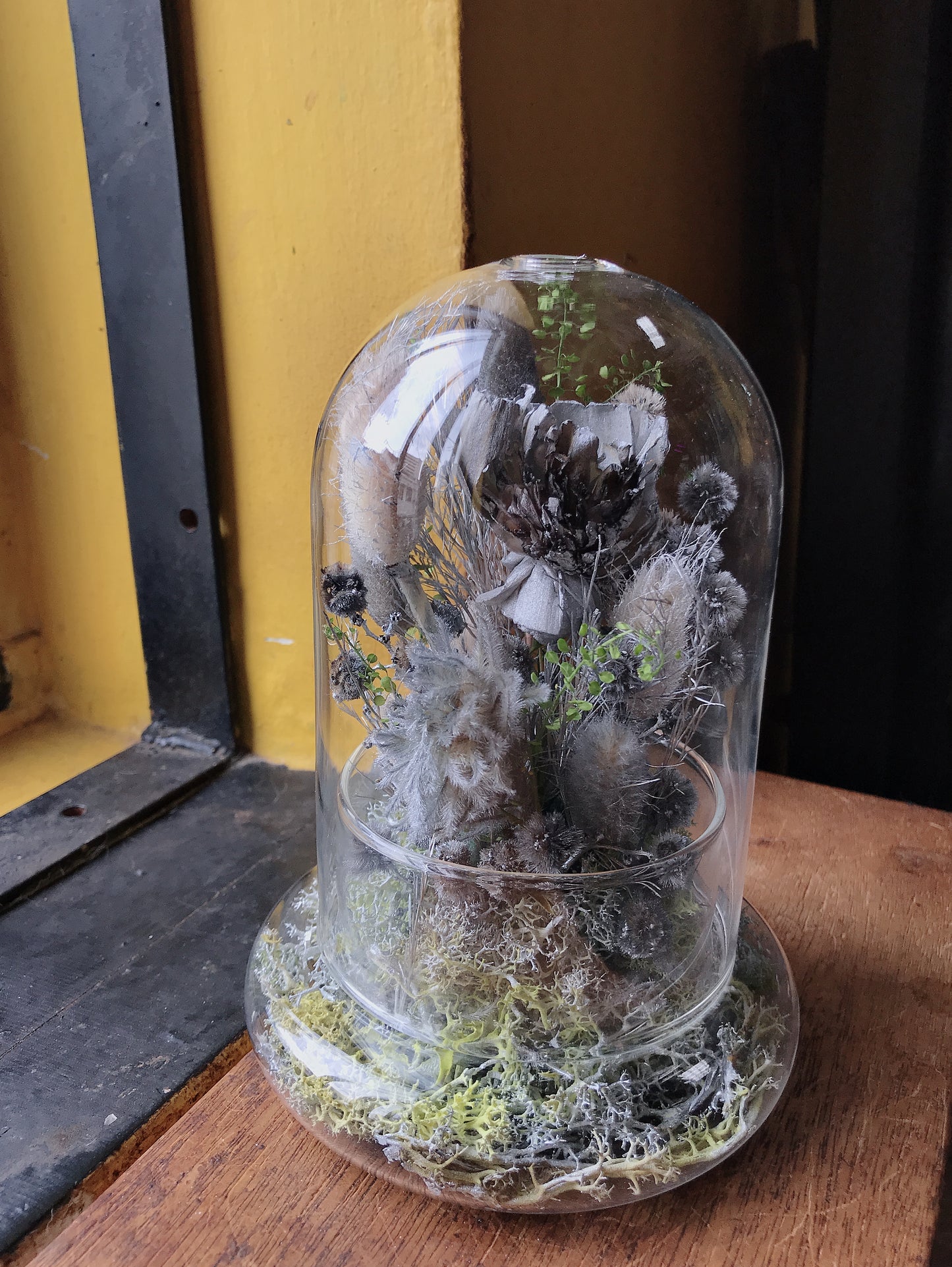 Chrome Silver Bell Jar (M)