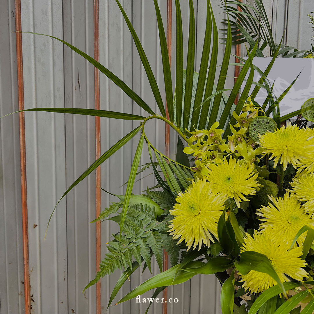 Grand opening stand - 04