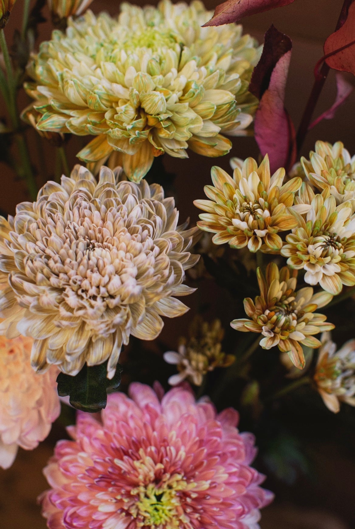 SA:KI 「咲 希」FLAWER ARRANGEMENT lll