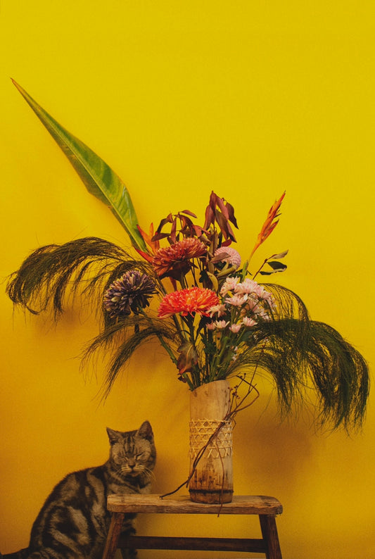 SA:KI 「咲 希」 FLAWER ARRANGEMENT IV