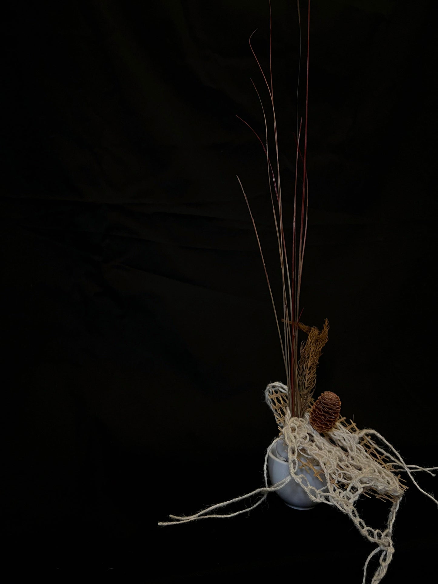 Flawer x Occult Faeries