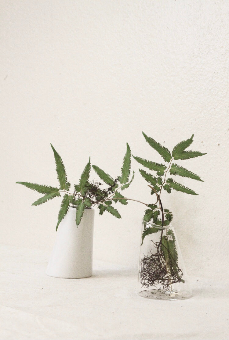 Object 15 - Set of 2