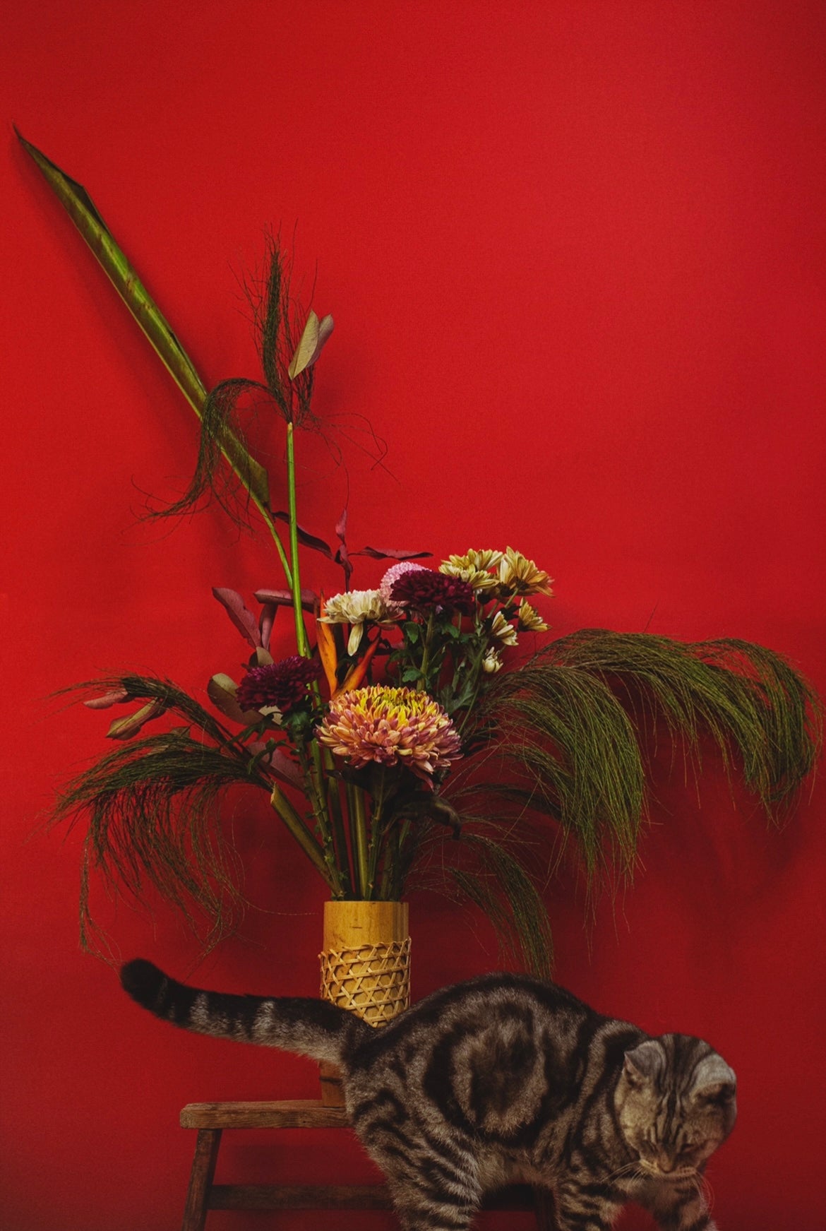 SA:KI 「咲 希」FLAWER ARRANGEMENT ll