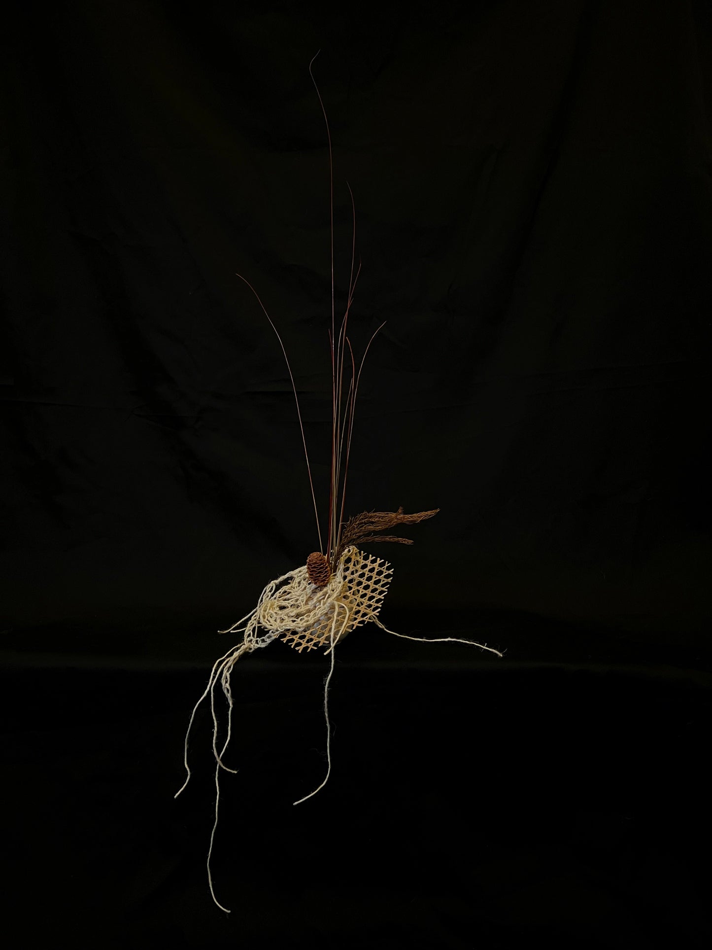 Flawer x Occult Faeries