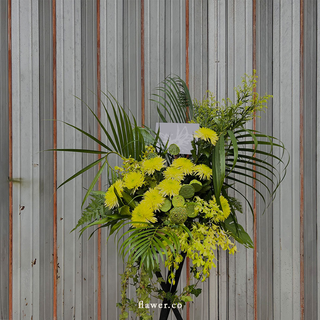 Grand opening stand - 04