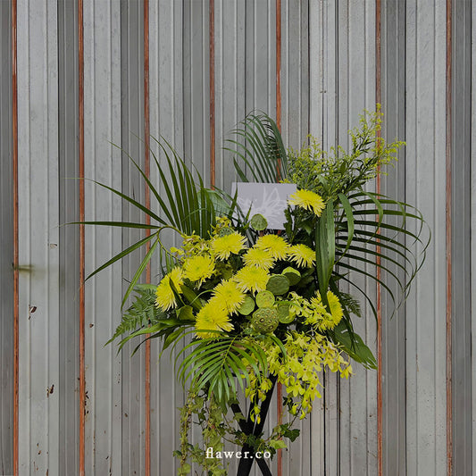 Grand opening stand - 04