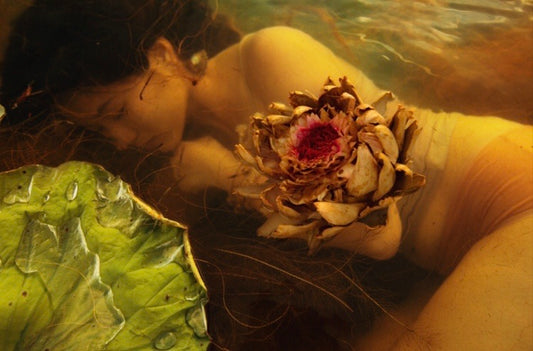 Dried Lotus Flawer (Large)