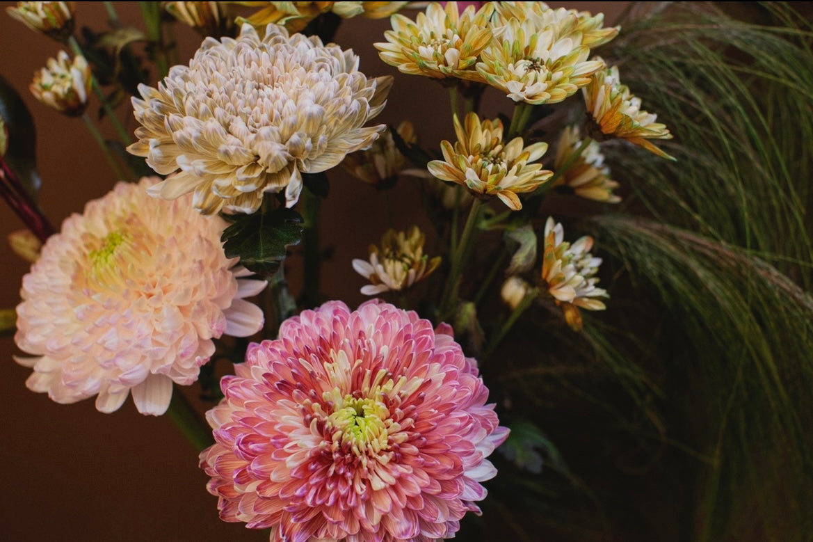 SA:KI 「咲 希」FLAWER ARRANGEMENT lll