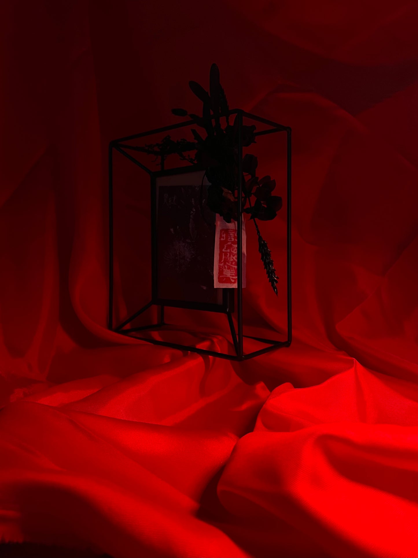 Flawer Frame (Black)