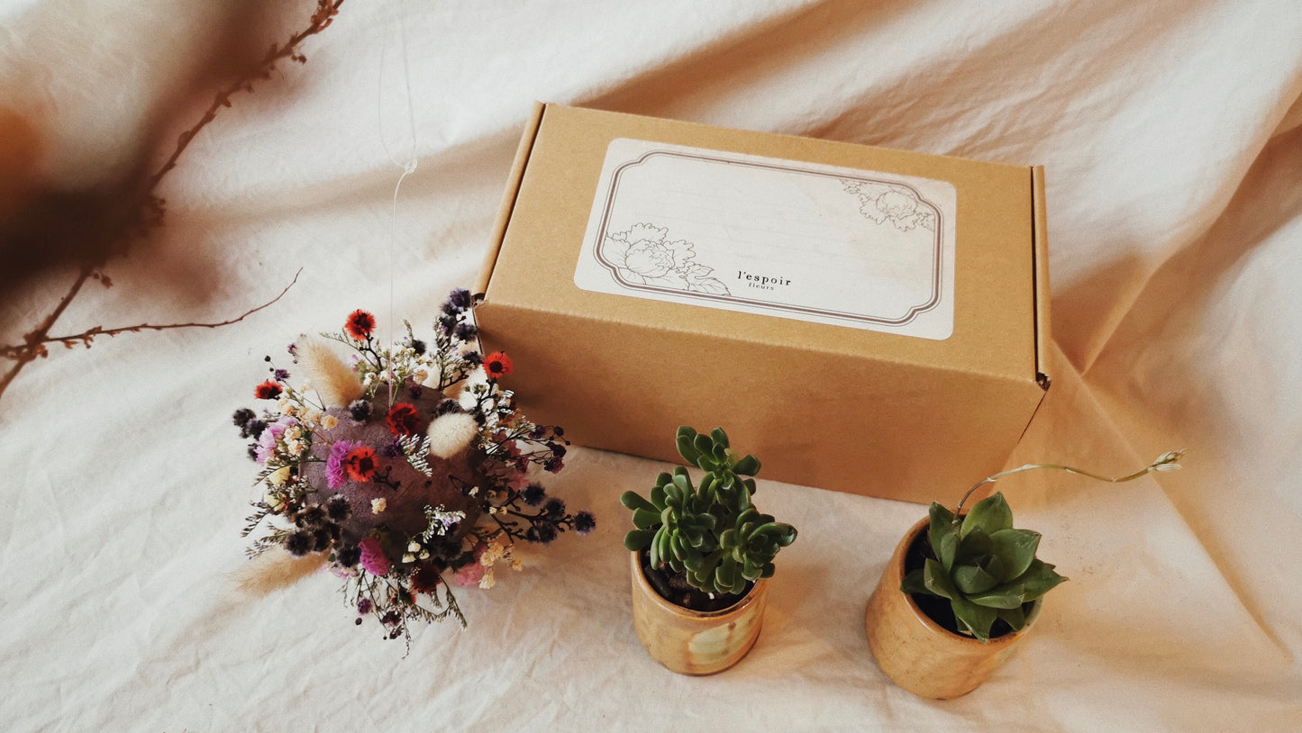 Mini Succulent / Cactus