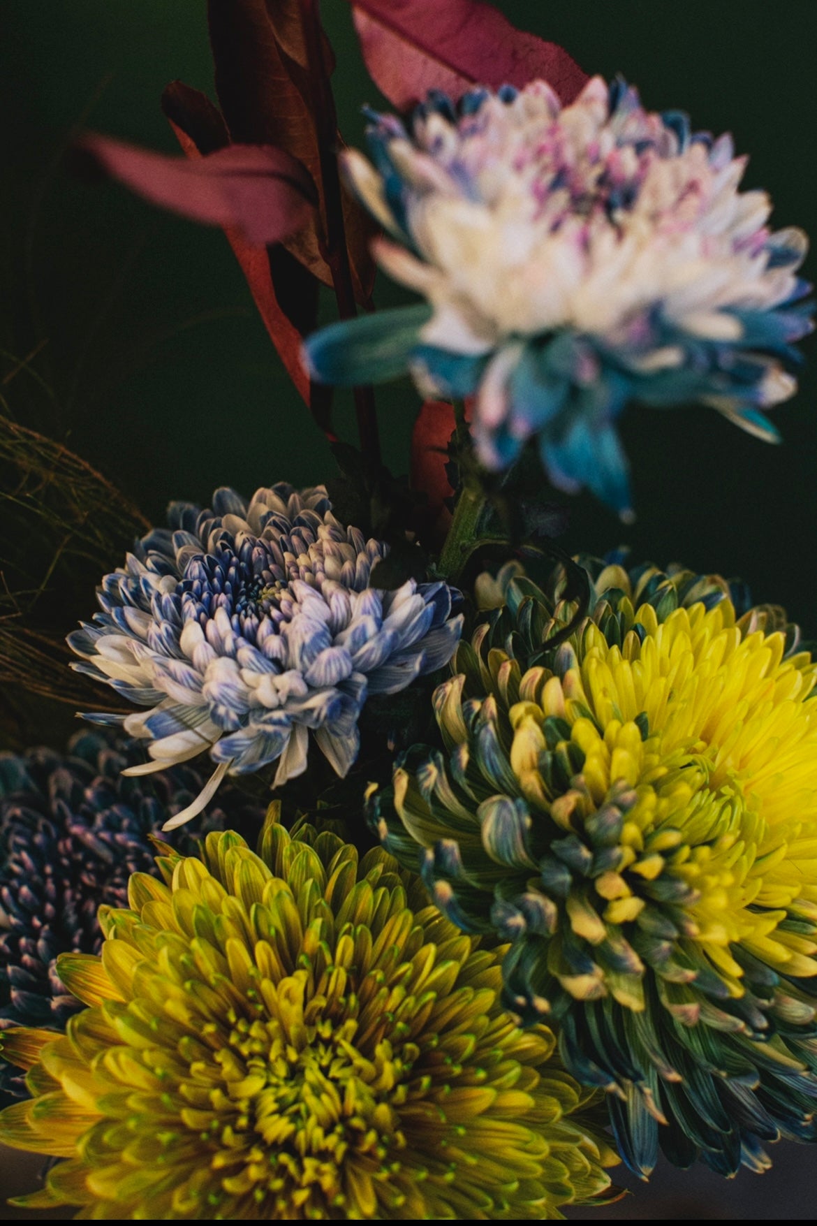 SA:KI 「咲 希」FLAWER ARRANGEMENT