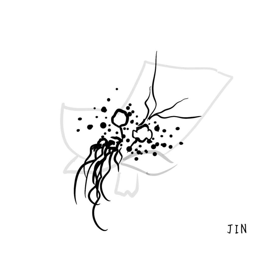 Jin - Dried Flawer Bouquet